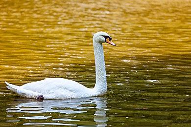 《黑暗之魂3》盔甲武器纹理增强mod发布 大小约19GB